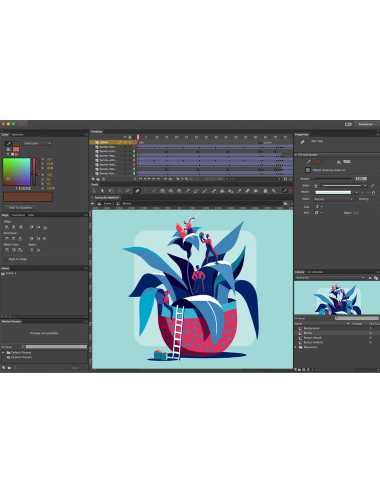 Animate - Pro for teams - Government, EU English, Subscription New, 12 Months