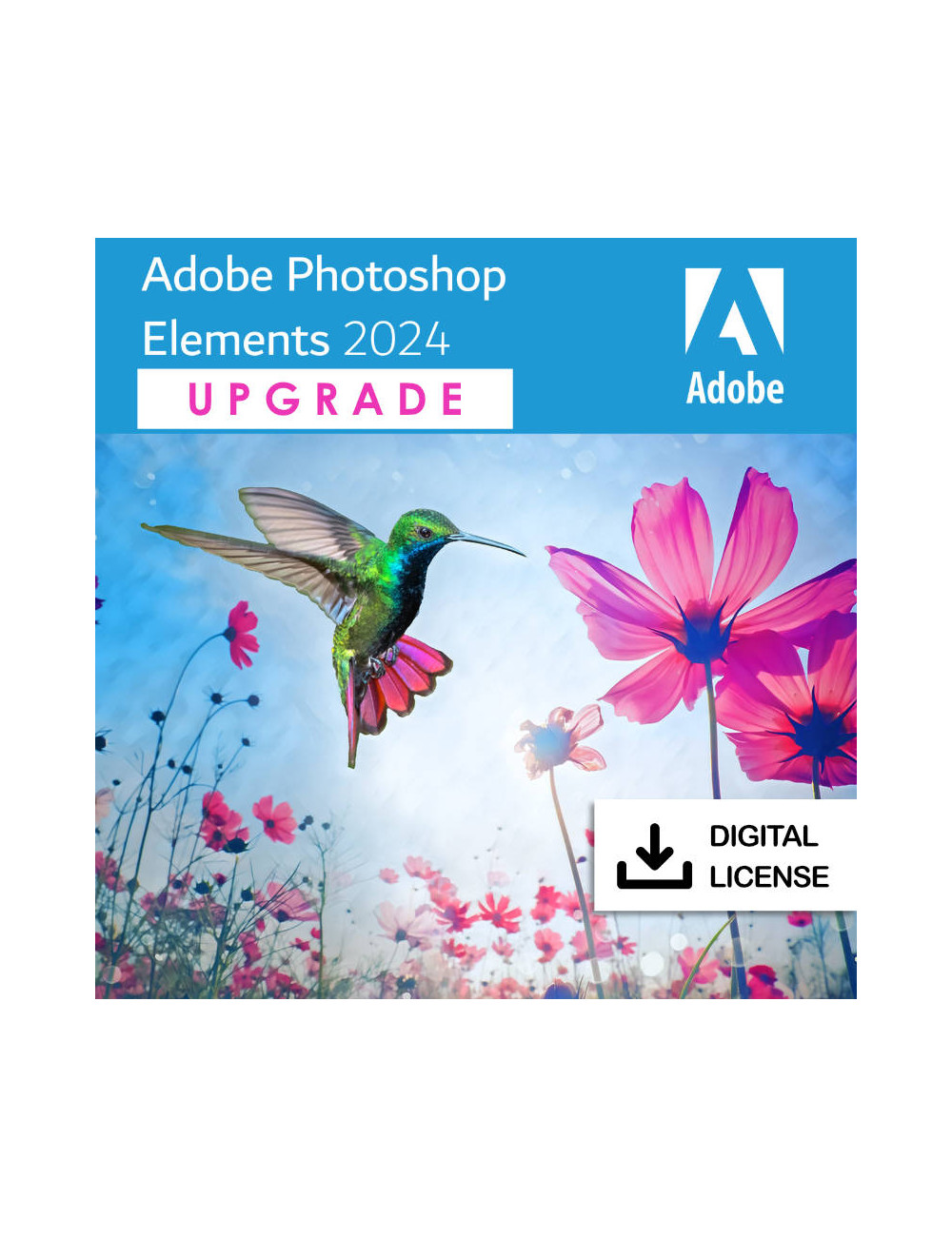 Adobe Photoshop Elements 2024 - Win/Mac -  EN -Upgrade