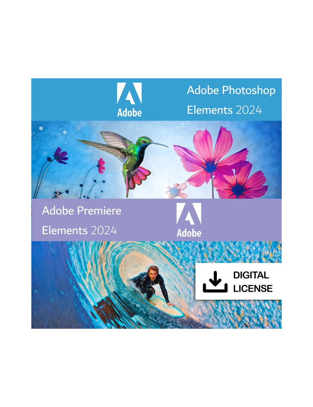 Adobe Photoshop & Premiere Elements 2024 - Win/Mac - EN - Perpetual license