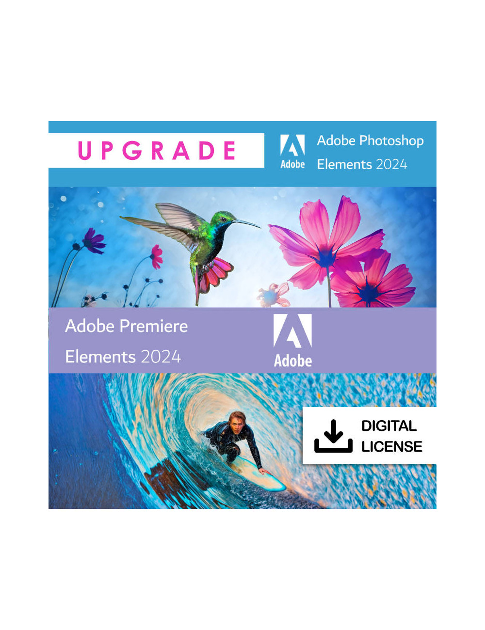 Adobe Photoshop & Premiere Elements 2024 - Win/Mac - Perpetual license - Upgrade
